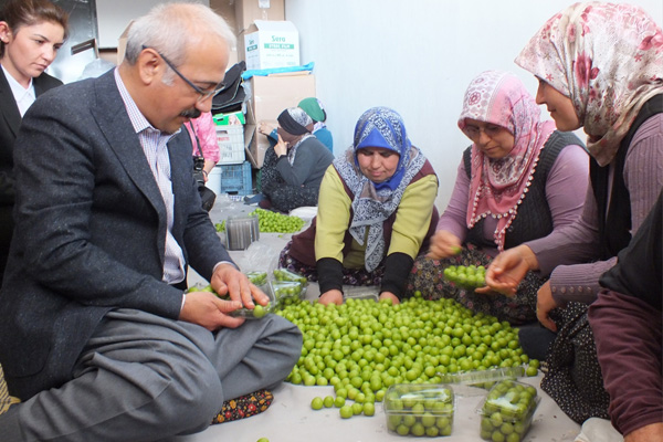 Bakan Lütfi Elvan halde erik paketledi