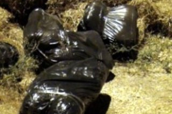 Saman çuvallarının içinden uyuşturucu çıktı