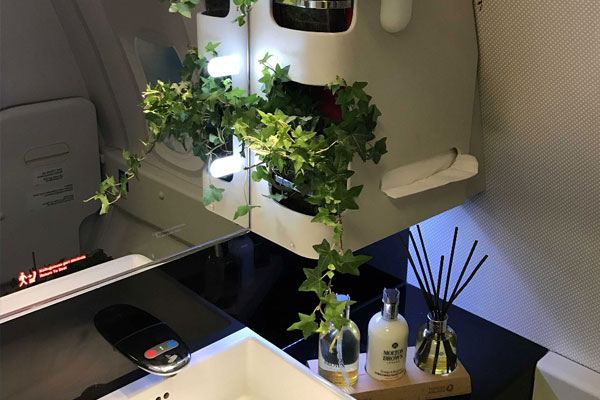 THY’den canlı çiçek konsepti