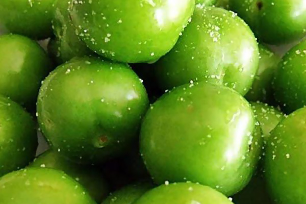 Eriği tuzlayıp yerseniz...