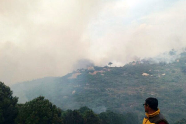 İzmir’de orman yangını