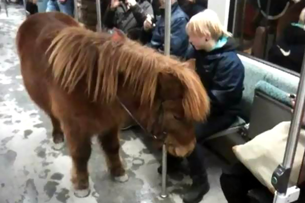 Metroda ilginç görüntü! Bu kadarı da 'pes' dedirtti!