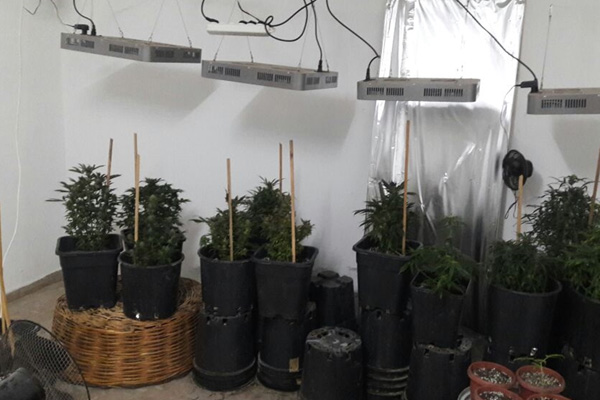 Burdur merkezli uyuşturucu operasyonu