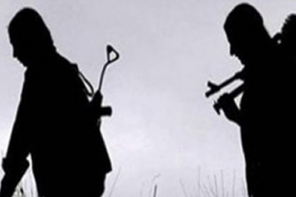 Bitlis’te 1 PKK’lı etkisiz hale getirildi