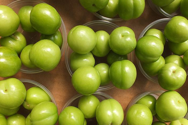 Eriğin kilosu 10 liraya düştü