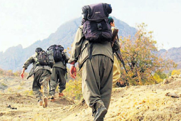 PKK yöneticisi Kulp kırsalında yakalandı