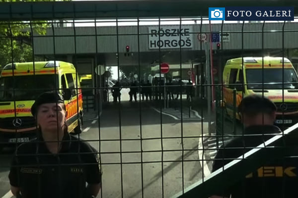 Macaristan polisi mültecilere saldırdı