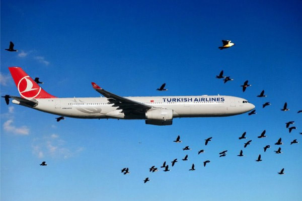 THY'den bayram için ek sefer