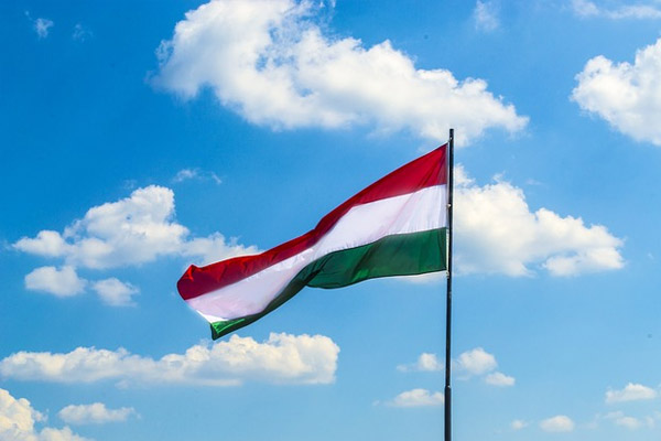 Macaristan'dan PKK'ya kınama