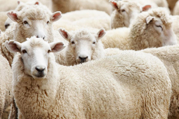 Kurban Bayramı'nda hava nasıl olacak?