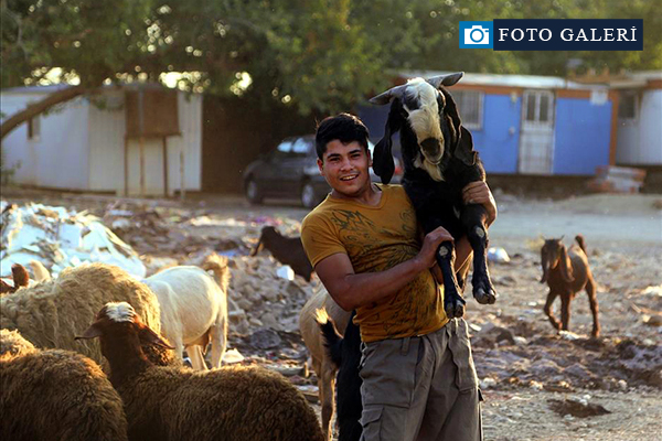 İslam dünyasında Kurban Bayramı hazırlıkları