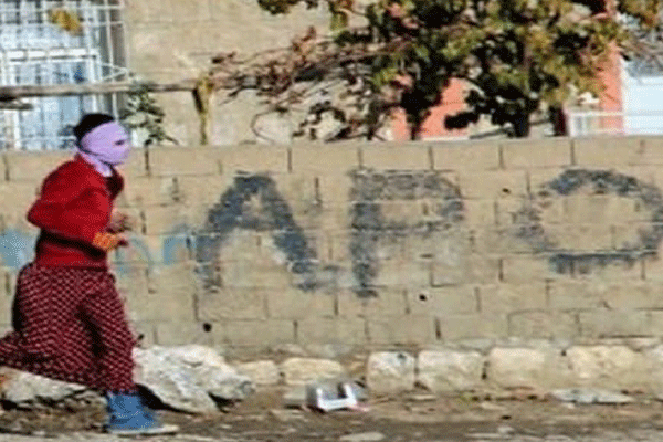 Muş'ta PKK operasyonu