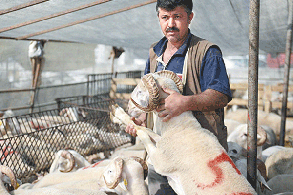 Kurban pazarında son durum
