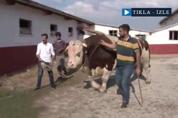 Alıcısı sır gibi saklanıyor