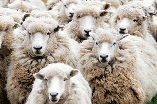 Türkiye'nin 'bayram' ekonomisi