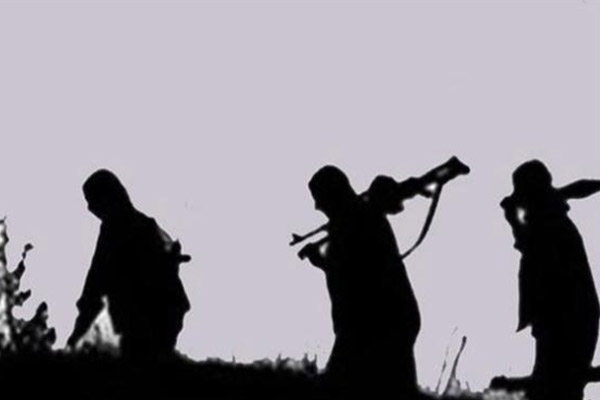 Şırnak'ta 2 PKK'lı teslim oldu