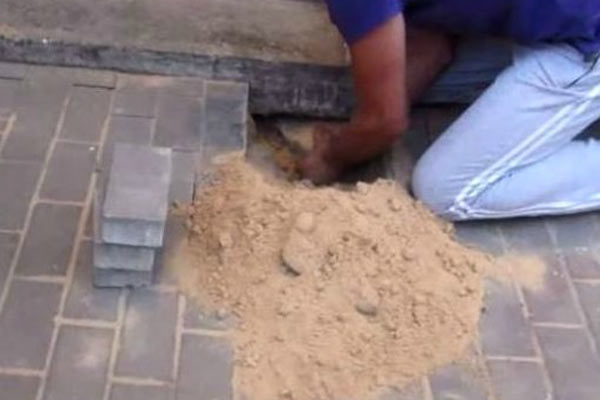 Hamile köpeği kaldırıma gömdüler