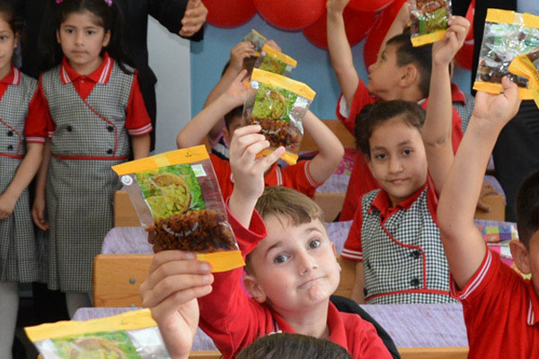 Kuru üzüm dağıtımına devam