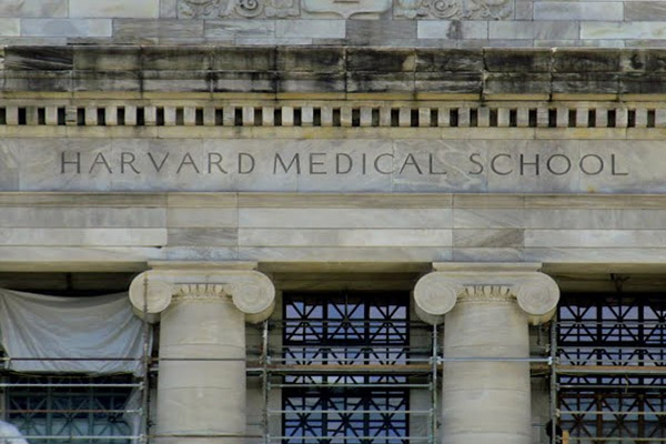 Harvard sağlıkta Türkiye'yi model aldı