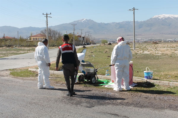 Niğde’de kuş gribi şüphesi