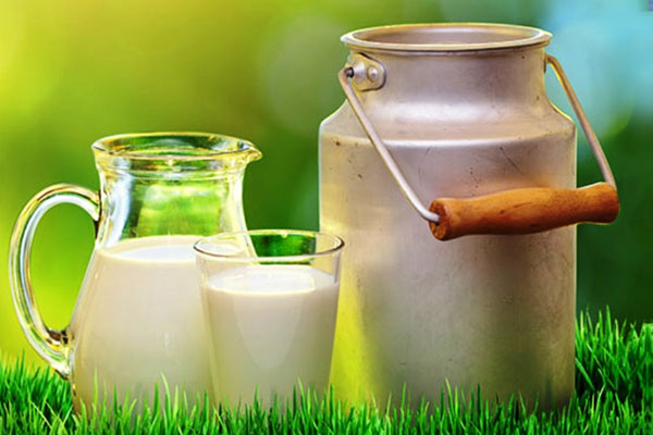 Çiğ süt satışına yeni düzenleme