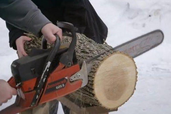 Tek bir kütükle bakın ne yaptı!