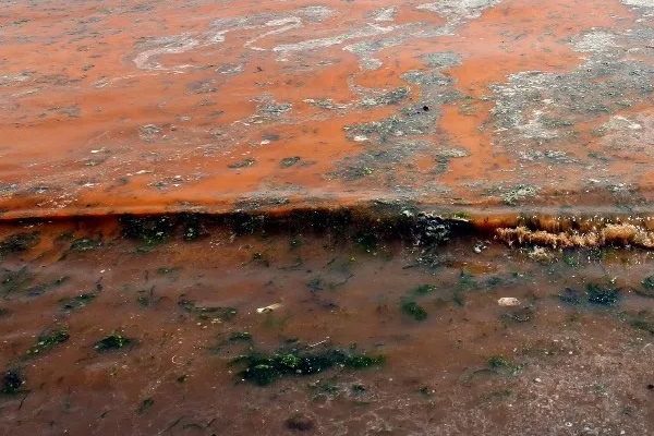 Marmara Denizi turuncuya büründü