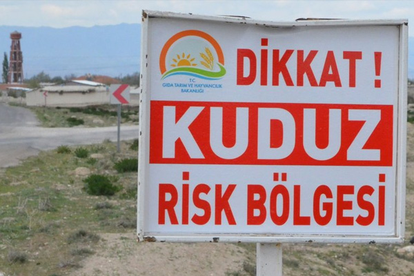 Konya'da kuduz paniği