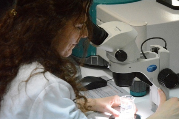 Türkiye ilk kanser ilacına kavuşuyor