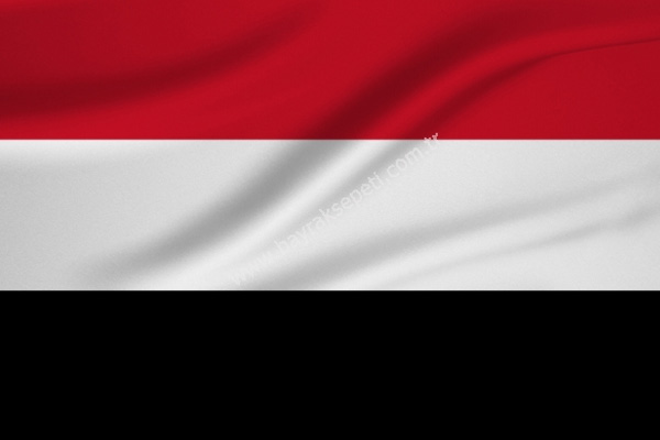 Yemen'deki Güney Hareketi'nin 'siyasi geçiş konseyi' ilanı