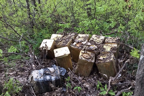 Bitlis’te 560 kilo EYP imha edildi