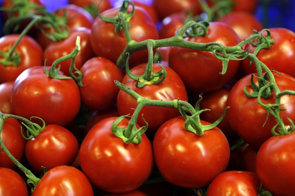 Irak artık Türkiye'den domates almayacak