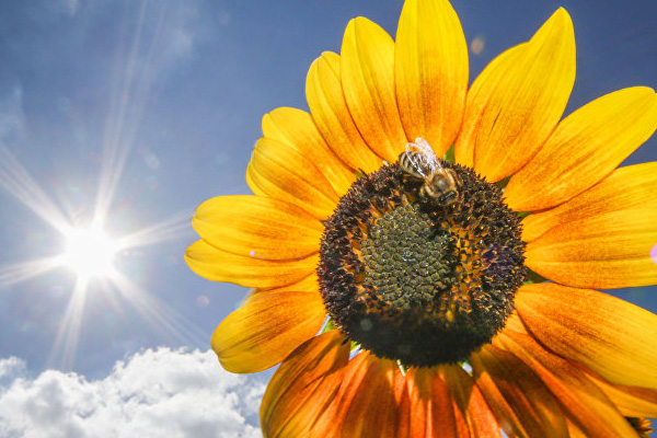 Türkiye'den Rusya'ya 'ithalat' hamlesi