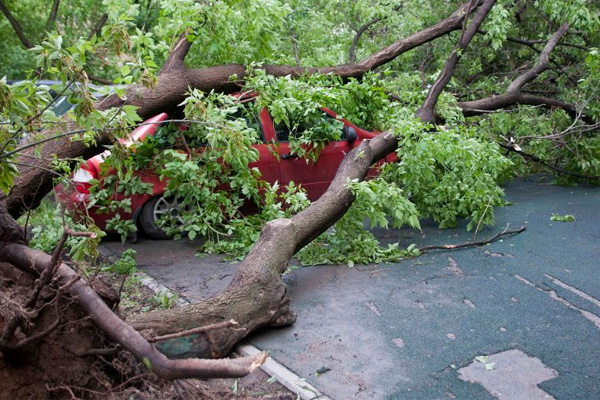Rusya'da şiddetli fırtına: 12 ölü