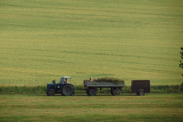 Trabzon'da genç çiftçilere 6.3 milyon lira destek