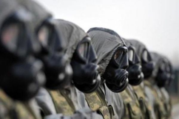 Kayalıkta mahsur kalan keçileri AFAD kurtardı