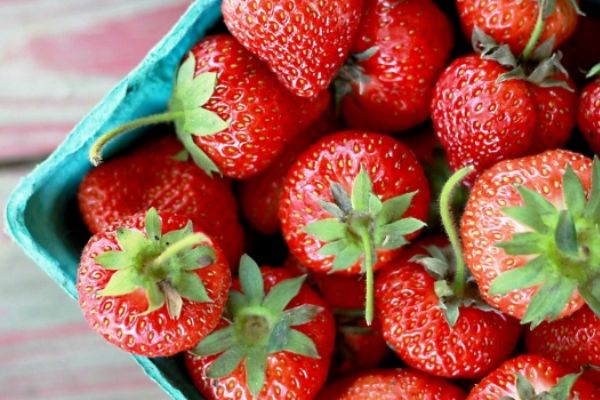 Kilosu 50 liradan satılan çilek el yakıyor