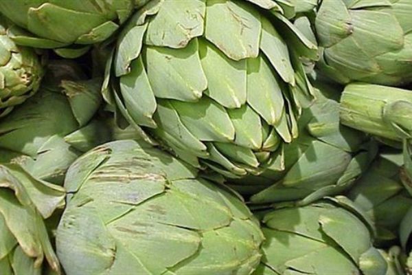 Enginarda altın çağ dönemi