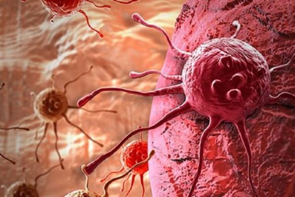 Kanser ve kalp hastalığı korkusu check-up'a yönlendiriyor