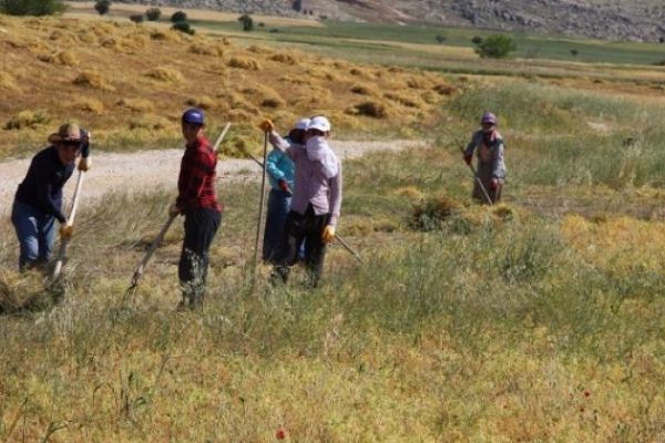 Ekmek parası için ramazanda sıcakla zorlu imtihan