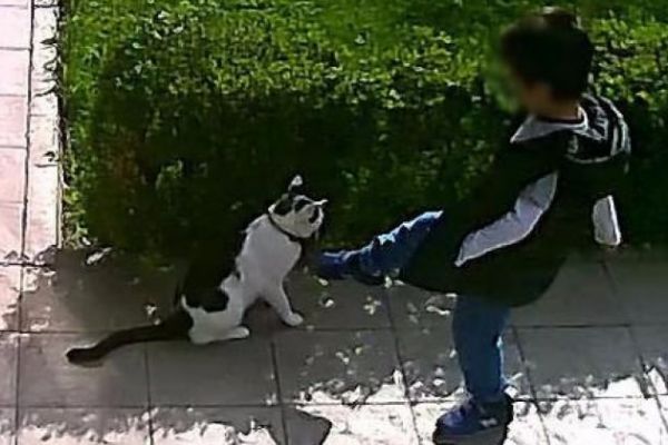 Sadece uyardı! Sonrasında yaşananlar vahim