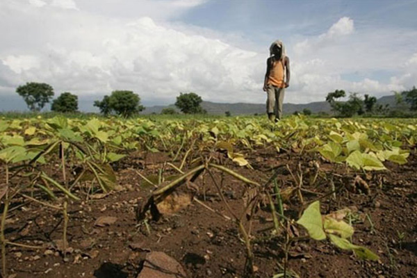 Hindistan'da çiftçi protestosu: 5 ölü