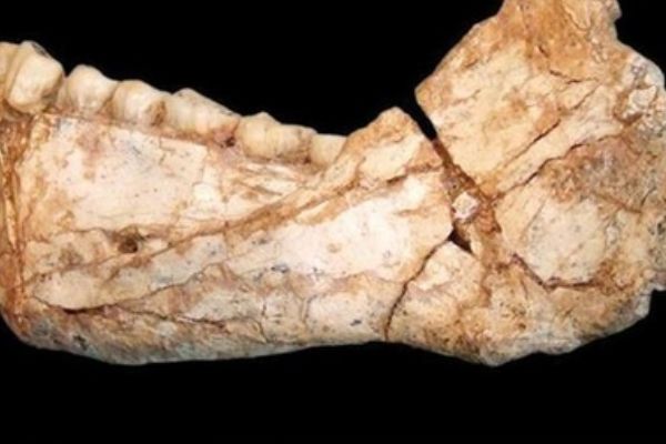 Bilim dünyasını sarsacak keşif!