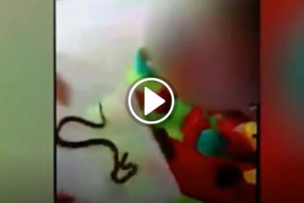 Anne, bebeğini yılana sokturdu!