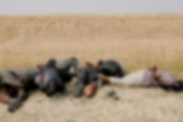 Tarlada elleri bağlı infaz!