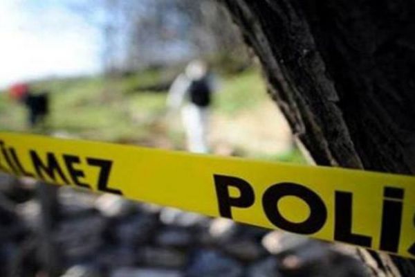 Sulama kanalına düşen otomobilden yüzerek çıktı