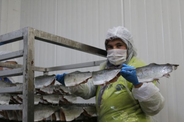 Tütsülenmiş alabalığı Ruslara sevdirdi!