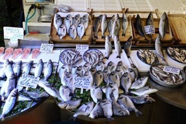 Ramazanda balıkçılar sinek avlıyor