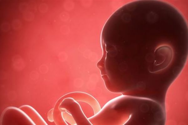 Bebekler anne karnında insan yüzlerini tanıyorlar