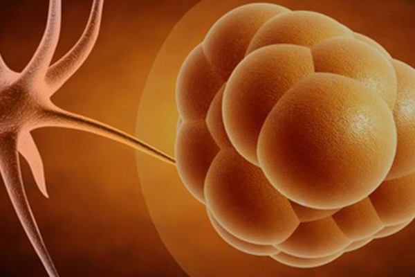 Yumurtalık kanserinde umut doğdu